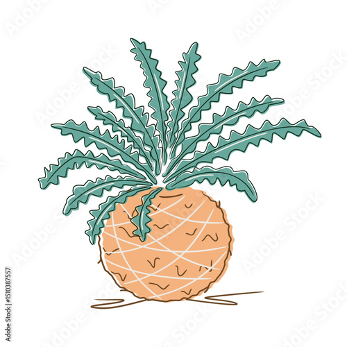 Minimalist botanical illustration of a homemade kokedama with fern nephropelis. Perfect for nature, decor, and eco-home visuals