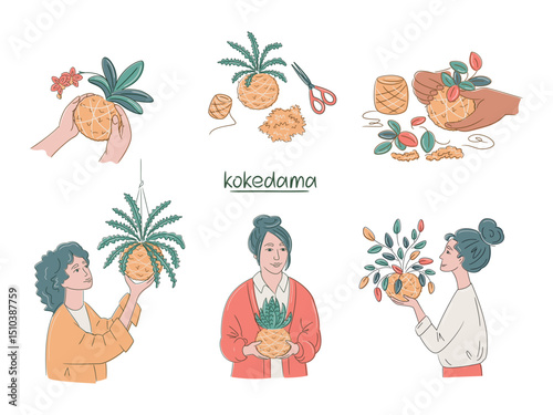 Set of minimalist botanical illustration of DIY kokedama. Multiracial hands crafting moss ball. Top view of horsetail kokedama DIY. Young women misting a kokedama moss balls
