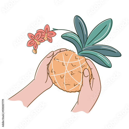 Floral kokedama held in gentle hands. Blooming Phalaenopsis orchid, and moss ball isolated on white background