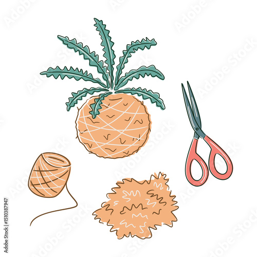 Top view of horsetail kokedama DIY. Moss, rope, scissors and soil liolated on white background. Flat lay Perfect for nature, decor, and eco-home visuals