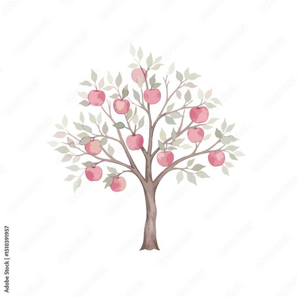 Fototapeta premium Apple Tree Isolated on Transparent Background – Watercolour Illustration