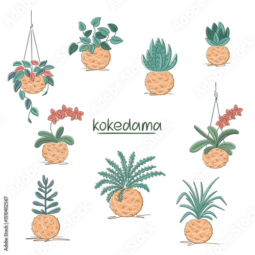 Set of Minimalist botanical illustration of DIY kokedama. Perfect for nature, decor, and eco-home visuals.