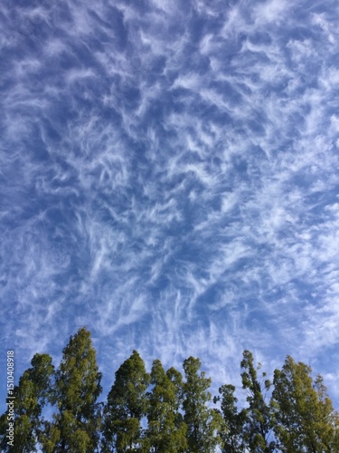 珍しい雲の空 photo