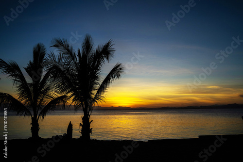 Sunset Golden Dusk Coconut Tree Silhouette Along Tropical Seaside Shoreline Photography