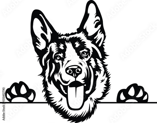 K9 vector illustration of a dog,  Controllable stroke K9 dog vector Illistration