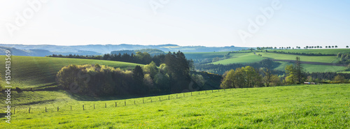flowers and meadows in rolling hills of luxemburg countryside