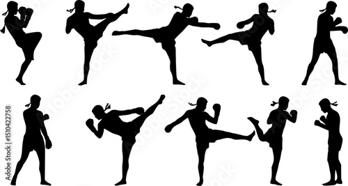 Thai boxing . Self-defense art on white background . martial arts body-vector.silhouette of a person
