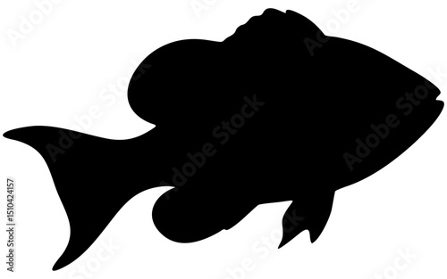 Silhouette vector of a sea fish in side profile, showcasing a streamlined body and fins, depicted in solid black with clean lines, symbolizing marine life and ocean wildlife.