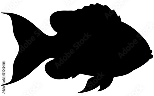 Silhouette vector of a sea fish in side profile, showcasing a streamlined body and fins, depicted in solid black with clean lines, symbolizing marine life and ocean wildlife.