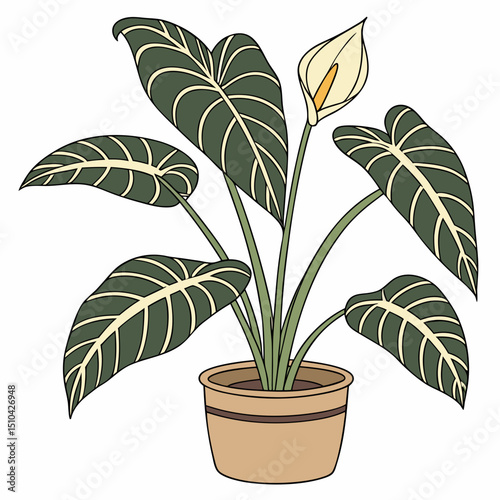 Cartoon Illustration of an Alocasia Plant in a Pot with a Flower


