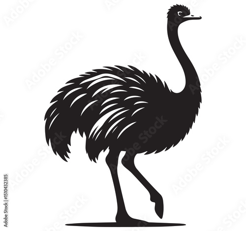 Detailed Black Emu Silhouette Graphic Illustration Standing Side Profile Vector Art for Wildlife Nature Animal Design