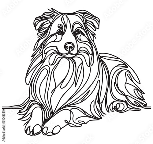 Unique Black White Continuous Line Art Drawing of a Lying Australian Shepherd Dog Abstract Minimalist Pet Animal Home Decor