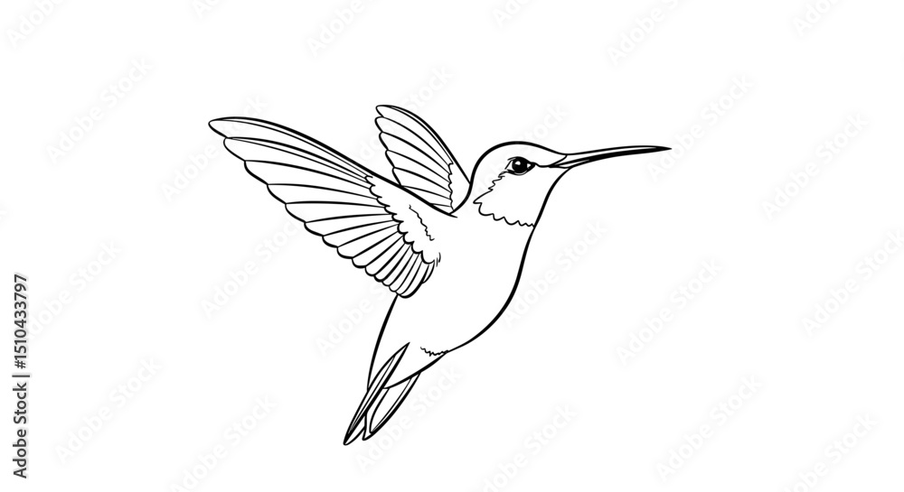 Obraz premium Hummingbird in flight against a white background