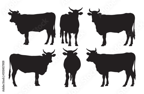 Cow illustration collection with different poses and angles.