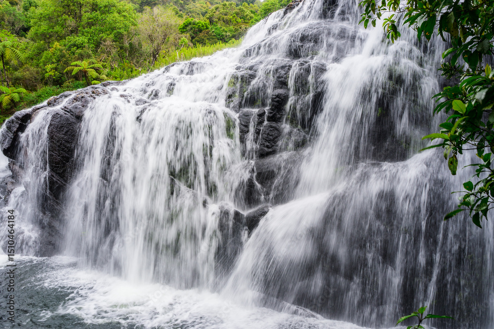 Obraz premium waterfall in the forest
