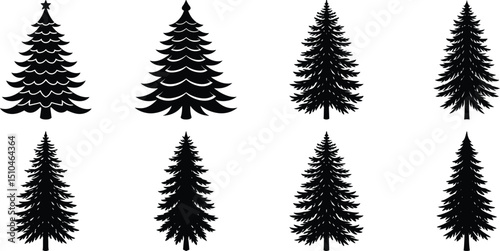 "Abstract Pine Tree Designs for Illustrations"
