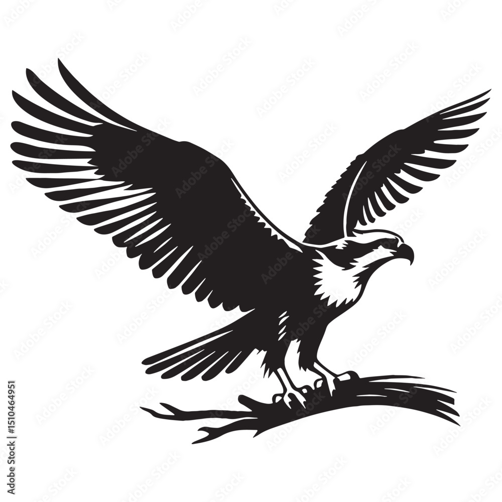 Obraz premium Graceful Osprey silhouette soaring high – Osprey illustration – Minimalist Osprey vector – Bird silhouette