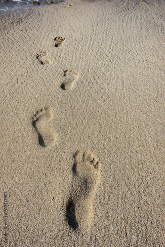 Beach footprints left by a lone traveler walking on sandy shoreline