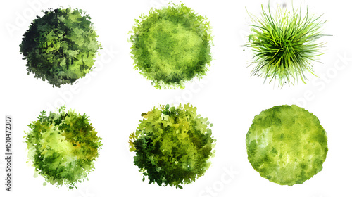 green grass isolated on white background, Set of watercolor tree top view for landscape plan and architecture layout. photo