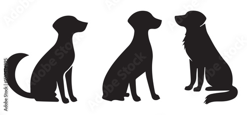 silhouette of a girl with dog