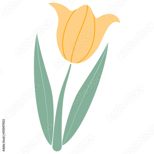 yellow pastel flowers elements for decoration on transparent background