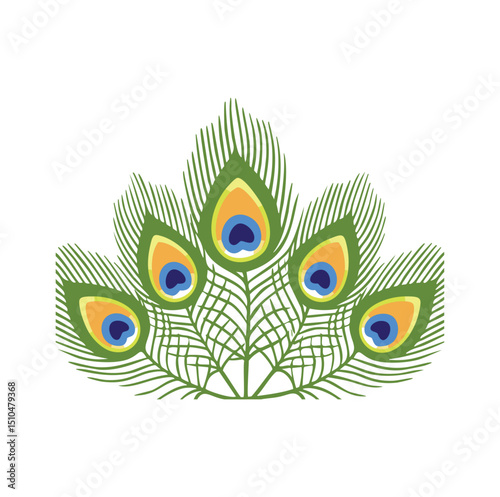 Five peacock feathers elegant design illustration