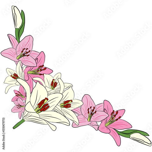 corner lilly flower on transparent background