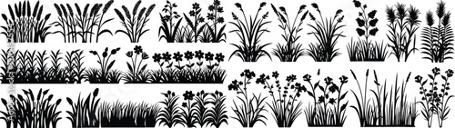"Silhouettes of Grasses and Wild Plants – Botanical Vector Collection"

