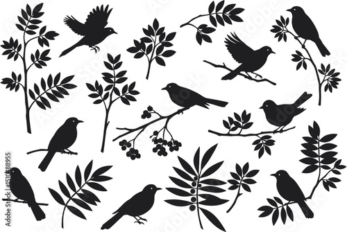 Silhouetted birds in branches natures gentle ballet