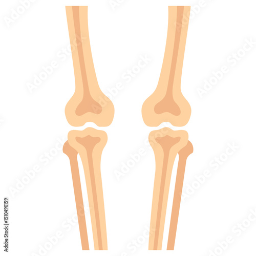 HumanBones-03.eps