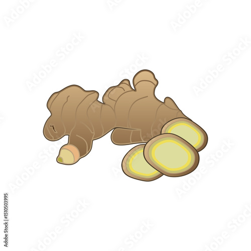 Ginger Rhizomes Root Herb vector illustration in lineal color icon style. Editable kitchen spices design element for education.