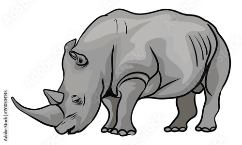 African rhinoceros on white background separately