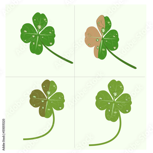 luck leaf Editable vector file