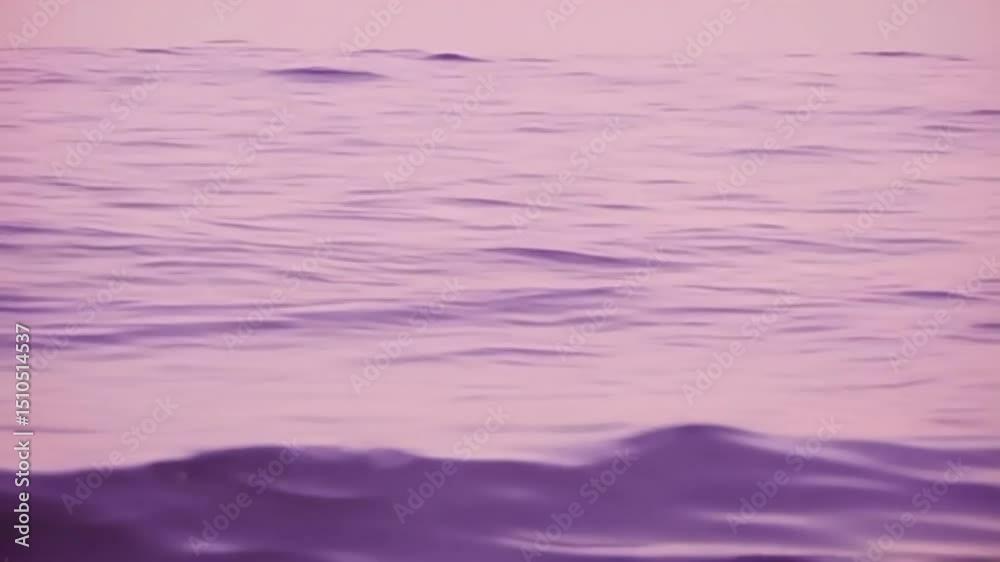 Gentle Purple Water Ripples