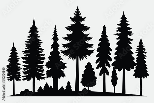 Majestic silhouette of evergreen trees in a forest