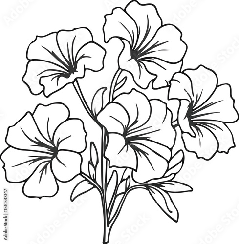  Flower drawing