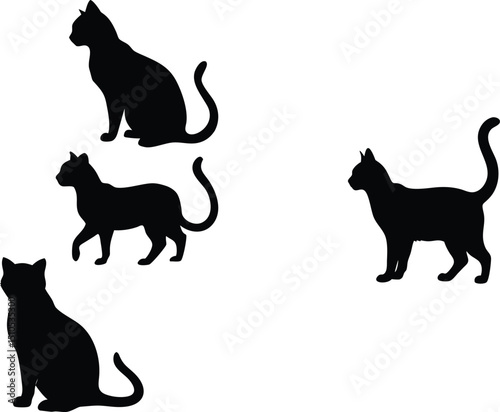 Black cat silhouette vector art graphic design illustration png image free download resource