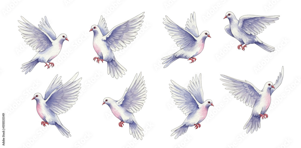 Obraz premium Adobe Illustrator Artwork