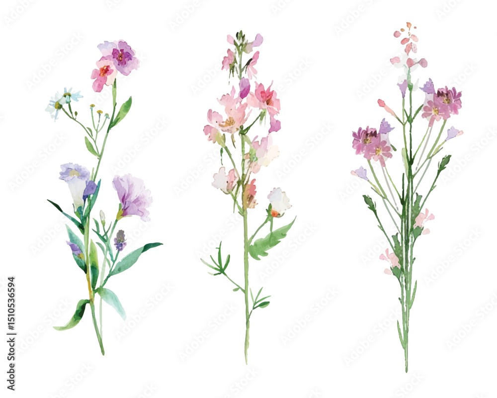 Naklejka premium Adobe Illustrator Artwork