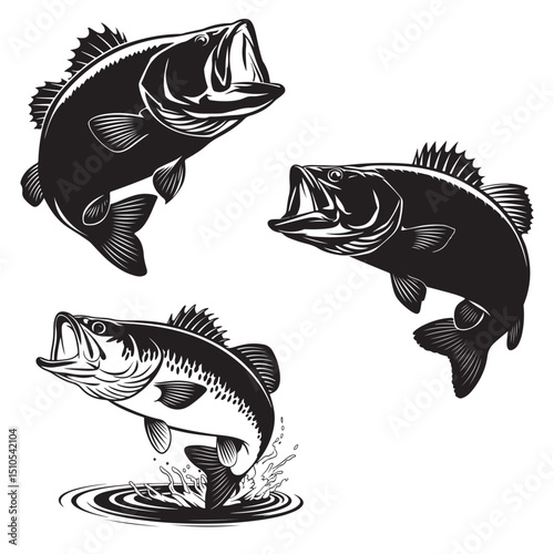 set vector Largemouth Bass Jumping Out of Water Black and White Illustration, Jumping Largemouth Bass Fish Illustration, 