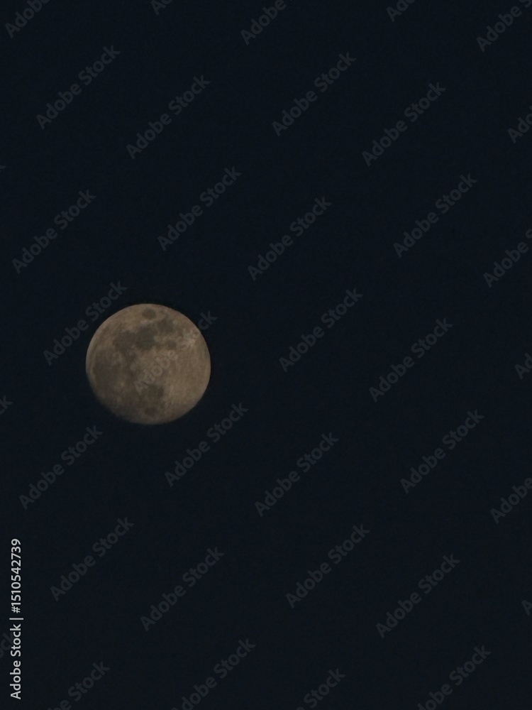 Fototapeta premium moon