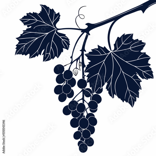 black and white grapes