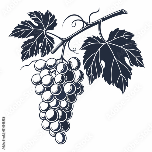 bunch of grapes