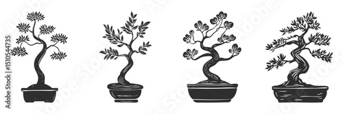 Bonsai Tree Silhouette Set. Artistic Representation Of Miniature Trees In Pots Isolated Vector Illustration Collection