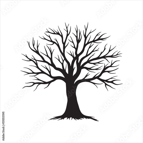 Black Leafless Tree Silhouette 