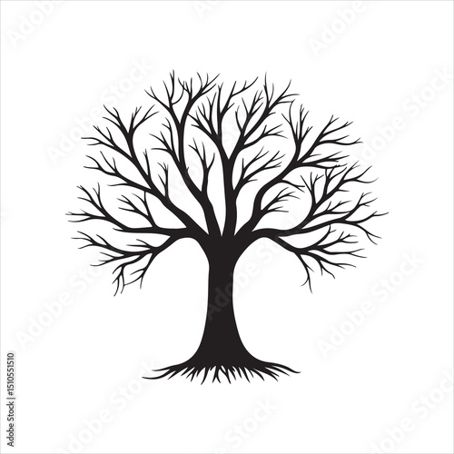 Black Leafless Tree Silhouette 