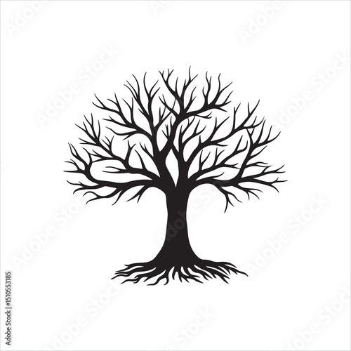 Black Leafless Tree Silhouette 