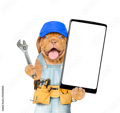 Funny Mastiff puppy wearing blue cap and denim overalls with tool belt showing big smartphone with white blank screen in it paw. Isolated on white background