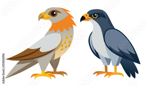 Two cartoon birds hawk and falcon illustration