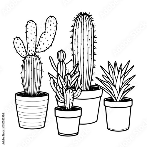 cactus in a pot